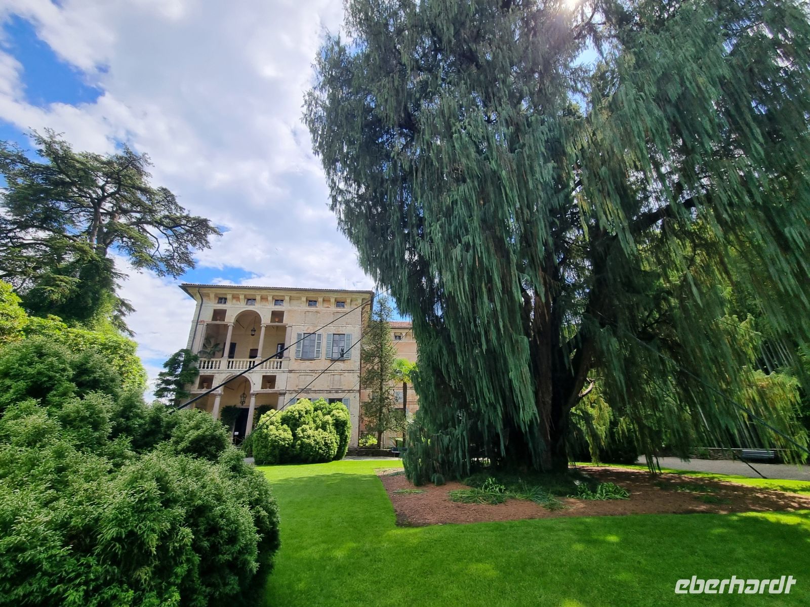 Lago Maggiore - Garten auf der Isola Madre (Mutterinsel) = Kaschmir-Zypresse 