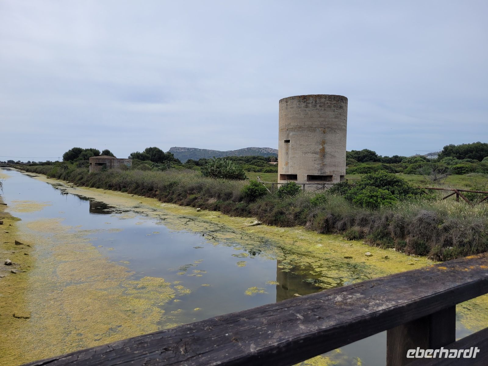 0502 Molentargius  Regionalpark