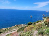 0609 Zuckerhutküste