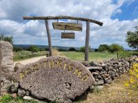 0801 im Land der Hirten