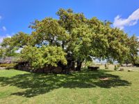 0802 im Land der Hirten