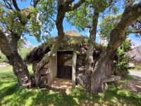 0803 im Land der Hirten