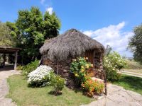 0804 im Land der Hirten