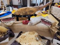 0806 im Land der Hirten