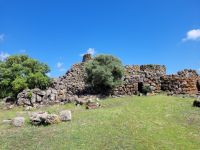 0807 im Land der Hirten