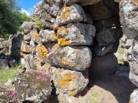 0808 im Land der Hirten