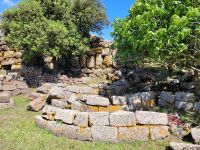 0809 im Land der Hirten