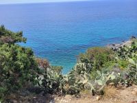 0902 entlang der Costa Rei.