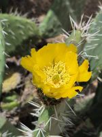 0903 entlang der Costa Rei.