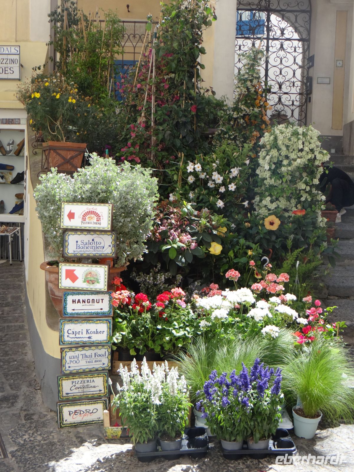Capri, Blumen und schön gestaltete Hinweisschilder werben um Aufmerksamkeit.