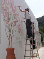 Panarea, die Bougainville blühen rundherum und werden auch auf die Fassade gemalt.
