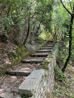 Stufen, Stufen, Stufen