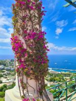 schön, dass wir hier sein konnten