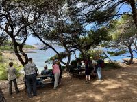 Eine schattige Trinkpause