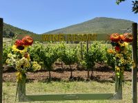 Wine Resort Ledà d'Ittiri