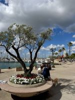 Am Hafen von Alghero