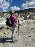 Eindrucksvolle Vulkanküste festhalten