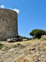 Gut und lautstarkt bewacht!