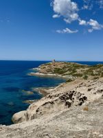 ... an der Landspitze Punta Argentina