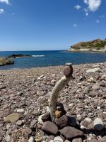 Amüsante Wegbegleiter