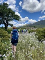 Lange Hosen sind hier von Vorteil