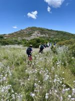 Auf der Suche nach dem Weg ...