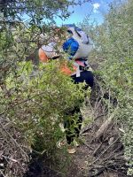 Unser Weg durch die sardische Macchia