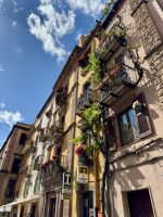 Weinranken an den Hausfassaden von Bosa