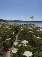Natur pur am Lago die Baratz