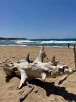 Spiaggia Porto Ferro