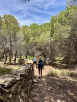 Wanderung durch duftende Pinienwälder