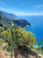 Weg nach Corniglia
