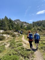 Natur und Ruhe pur ...