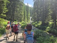 Auf dem Sentiero dell Orso zu den Vallesinella Wasserfällen