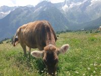 Auf dem Weg zum Fort Stino