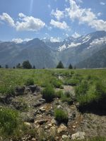 Murmeltierpfad auf dem Passo Tonale