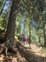 Wanderung zur Malga Salina