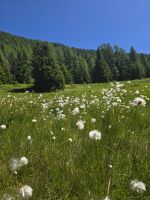 Wanderung auf dem Schäferweg zum Lago delle Malghette