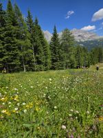 Rückweg zum Bus entlang des Campo Carlo Magno