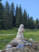 Fundstück auf dem Abstieg zum Campo Carlo Magno