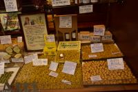 Bologna - wird liebevoll 