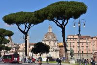 Rom - Trajansforum - Forum Traiani