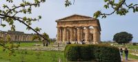 Paestum - Antike Stadt
