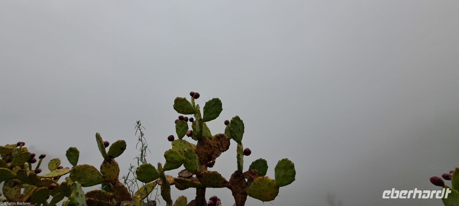 Sizilien - Taormina - Panoramablick zum Ätna :''-)