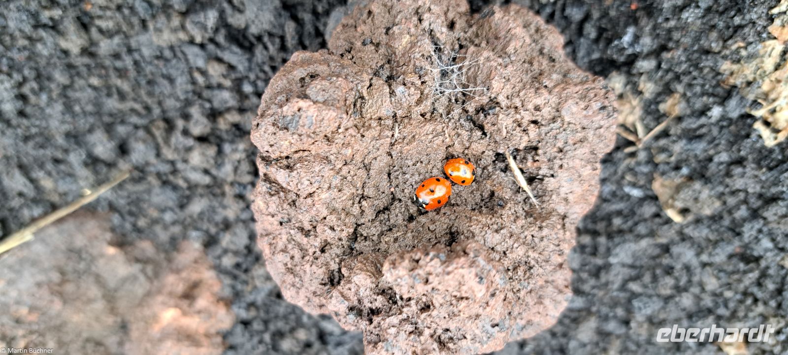 Sizilien - Leben am Vulkan Ätna
