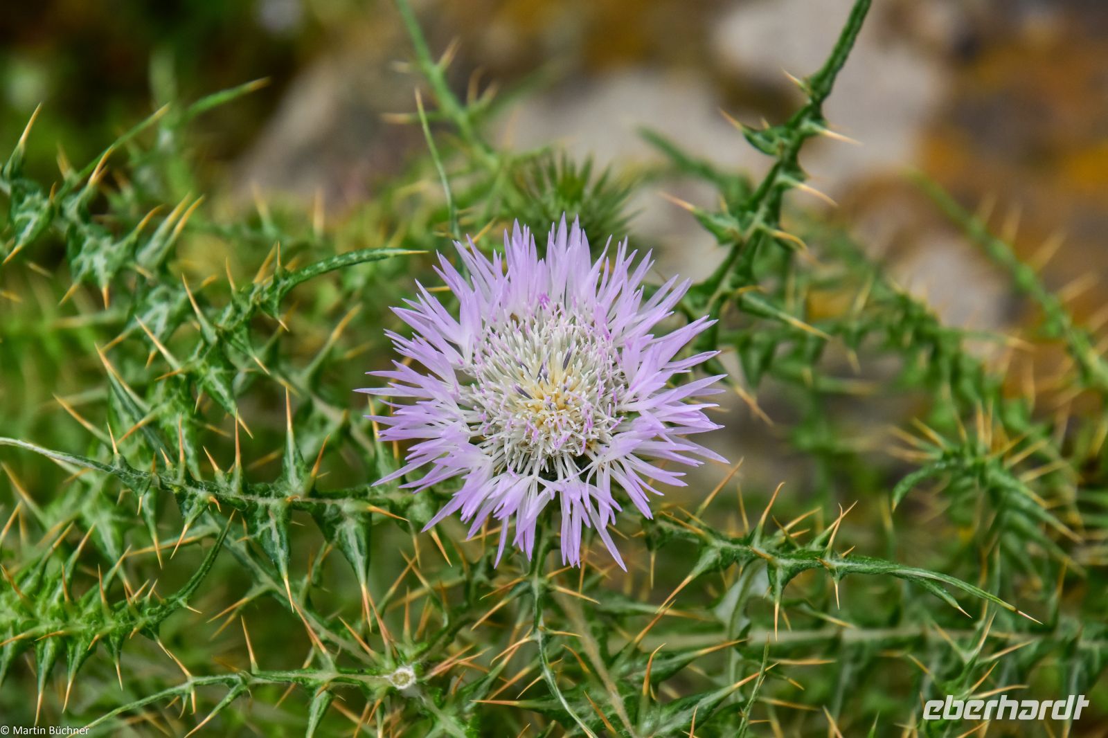 UNESCO Weltnaturerbe Äolische Inseln