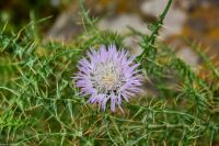 UNESCO Weltnaturerbe Äolische Inseln