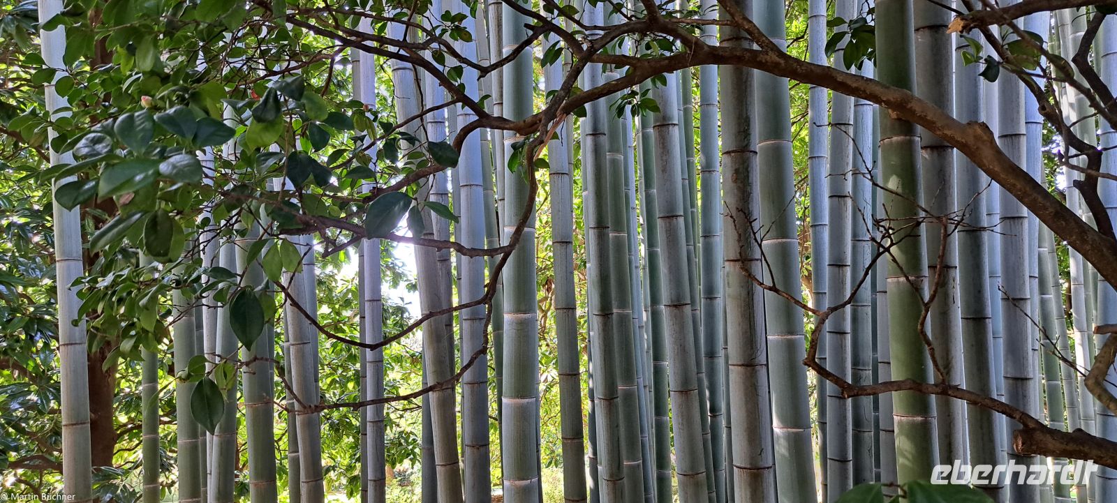 Lago Maggiore - Borromäische Inseln