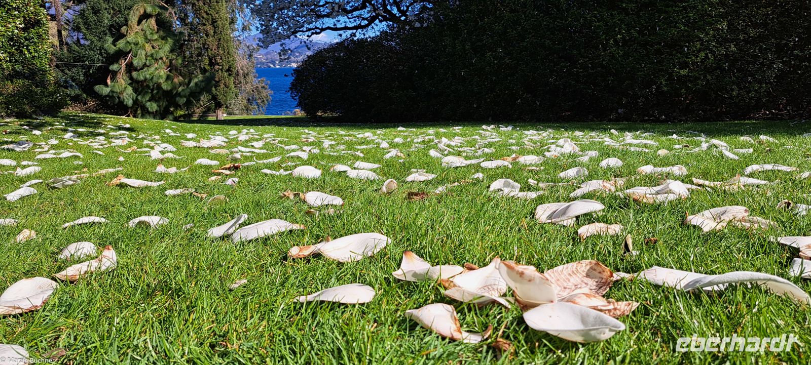 Lago Maggiore - Borromäische Inseln