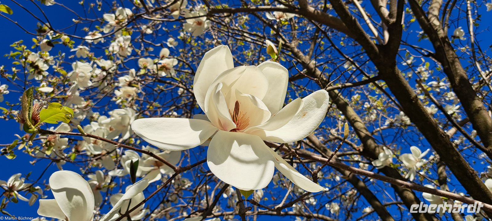 Lago Maggiore - Borromäische Inseln